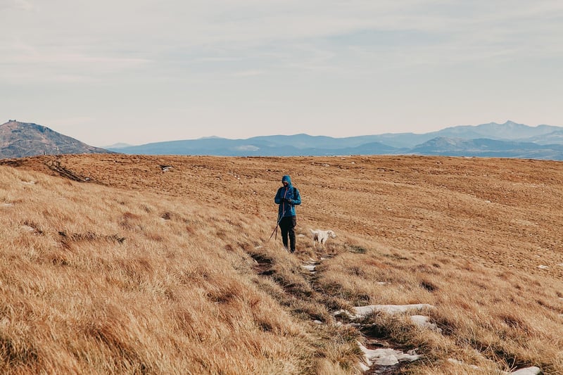 Mindful Walking